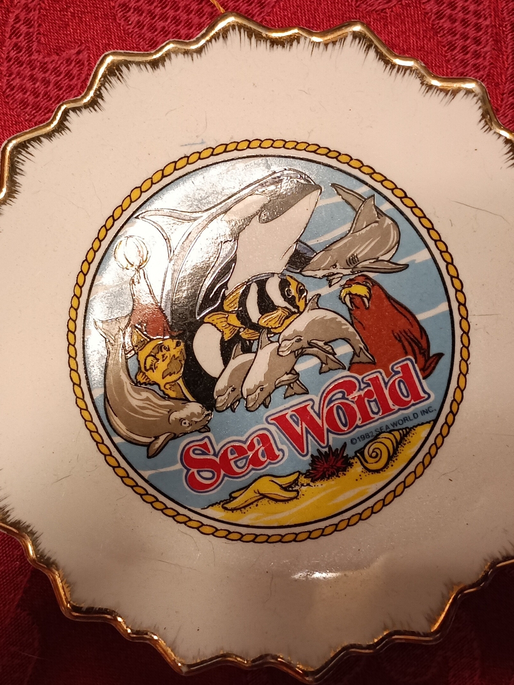 SeaWorld Decorative Fish-Themed Trinket Dish - White with Gold Trim (hangs)